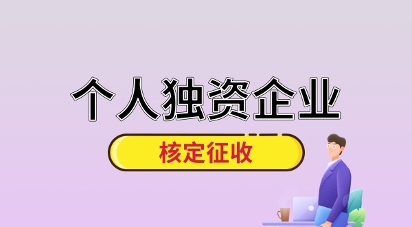 成立個人獨資咨詢公司的步驟和資料有哪些（個獨企業(yè)還能核定征收嗎）