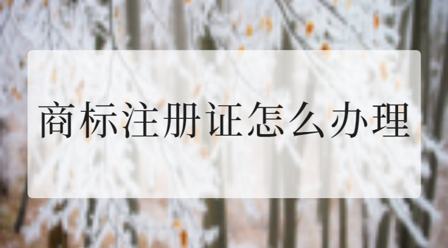 商標(biāo)注冊(cè)證在哪里辦(商標(biāo)注冊(cè)證辦理流程)